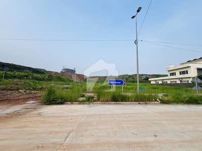 Low Budget, Double Boulevard Corner Plot
