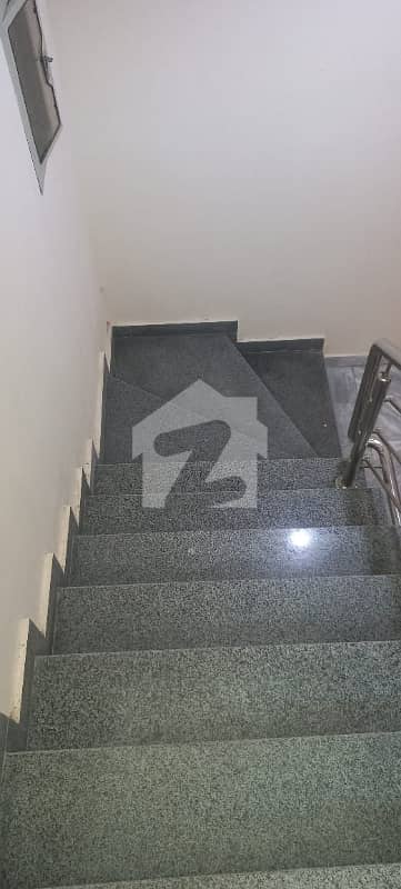 20 