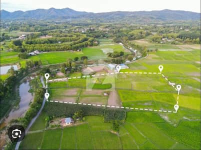 *1 Kanal Plot for Sale on* Bedian Road
