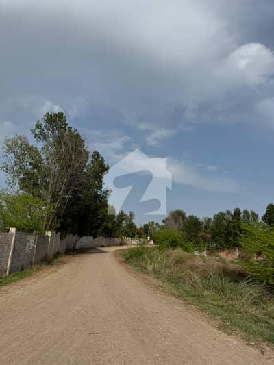 4 Kanal Excellent Location Barki Road Land, Near Jamil Farm Barki Road