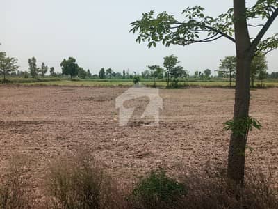 ملتان روڈ لاہور میں 16 کنال زرعی زمین 4.0 کروڑ میں برائے فروخت۔
