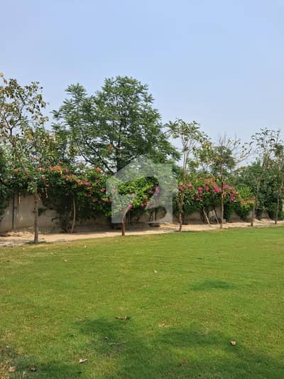 8 Kanal Commercial Plot For Rent Prime Location Plot Available For Rent Near DHA Phase 7 Lahore Z2 Entrance On Bedian Road, Lahore Cantt. 8 Kanal Commercial Plot For Rent Prime Location Plot Available For Rent Near DHA Phase 7 Lahore Z2 Entrance On Bedian Road, Lahore Cantt.