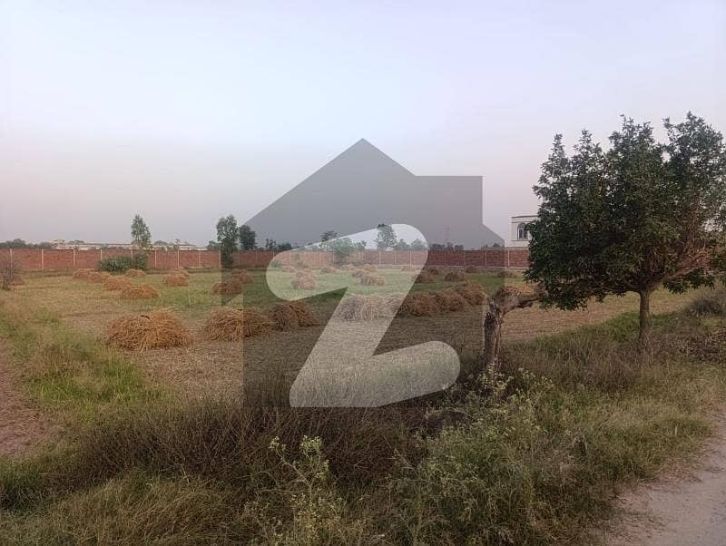 6 6