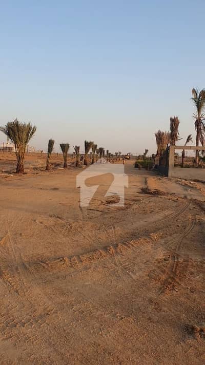 Radio Pakistan Cooperative Housing Society Scheme 33 Plot For Sale 240 Square Yards Radio Pakistan Cooperative Housing Society Scheme 33 Plot For Sale 240 Square Yards