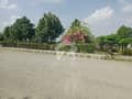 5 5