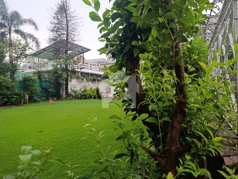 E 7 1244 Sq yards House Available 80*140 Close And Street. E 7 1244 Sq yards House Available 80*140 Close And Street.