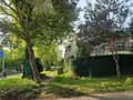 13 13