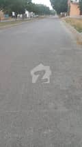 3 3