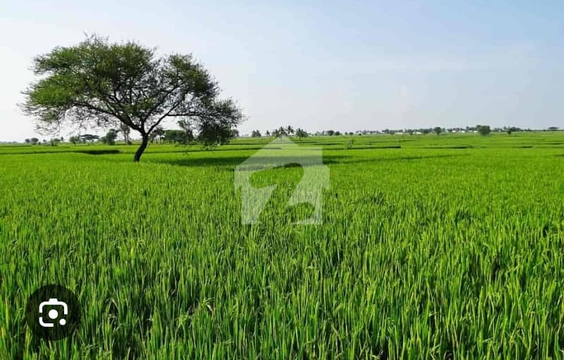 1 1