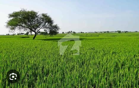 Agricultural Land Of 32 Kanal Available In DHA Phase 10