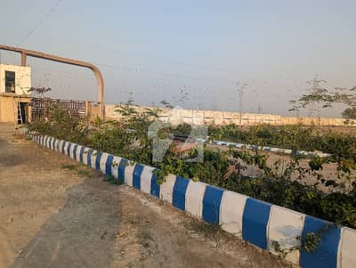 Great Opportunity For Investment