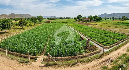 9.5 Kanal Residential Plot For Sale