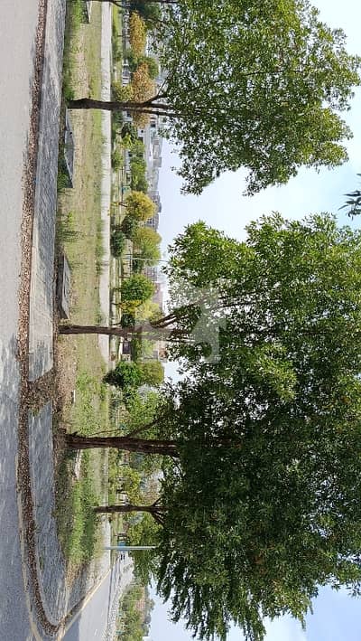 5 Marla Front Open With Green Belt For Sale