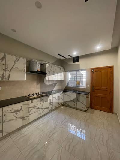Upper Portion Of Rent