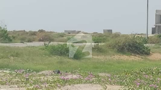 500 Yards Residential Plot For Sale At Khy Badban West Open Box Plot Silent Area At Most Attractive Location 500 Yards Residential Plot For Sale At Khy Badban West Open Box Plot Silent Area At Most Attractive Location