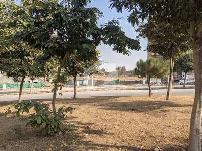 12 Marla Plot For Sale In Pwd Location Near To London Baker Sirf Ak Call Janab Saif Khan Pwd