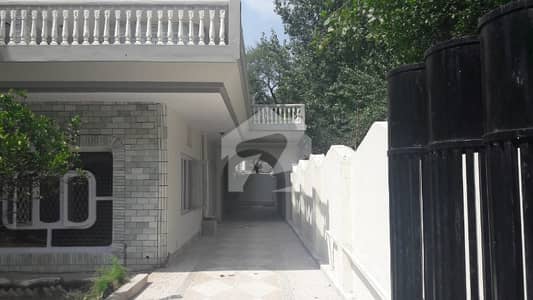 Ground Portion With Extra Land For Rent
