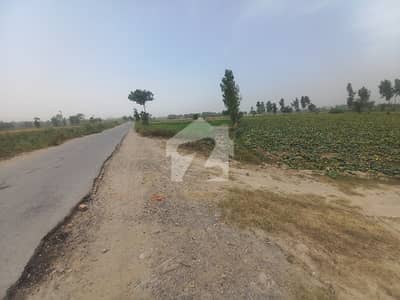 جیا باگا روڈ لاہور میں 6 کنال کمرشل پلاٹ 3.6 کروڑ میں برائے فروخت۔