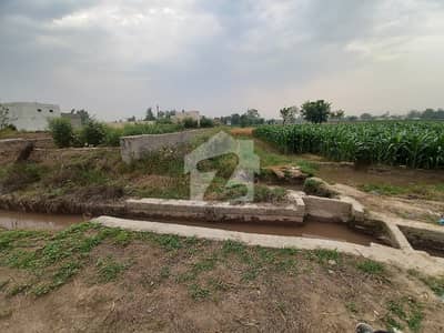 BEST OPERTUINTY FOR INVESTMENT INDUSTRIAL LAND   DAIRY FARM   POULTRY FARM   FARM HOUSE MORE DETAILS CONTACT ME