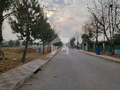 Gulberg green A Block Farmhouse plot
