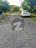 1 1