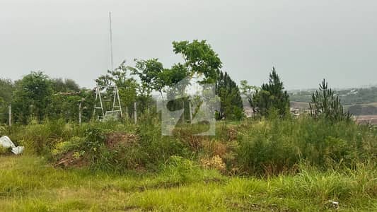 23 Marla Plot Available For Sale In DHA 3 Sctor B