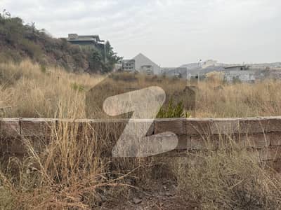 10marla plot for sale in Banigala very beautiful location carpeted street plot size 32*71