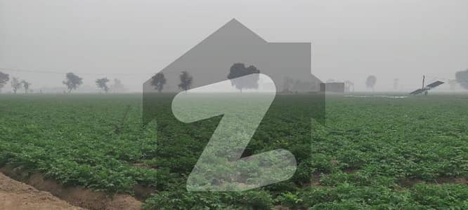 125 Acre Land Nagar Amanpura Annual Rent Per Acre 250000 125 Acre Land Nagar Amanpura Annual Rent Per Acre 250000