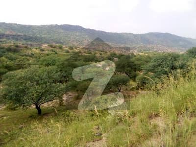 Residential Plot For Sale