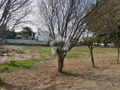 Corner In Izmir Town 5 Marla Residential Plot For Sale