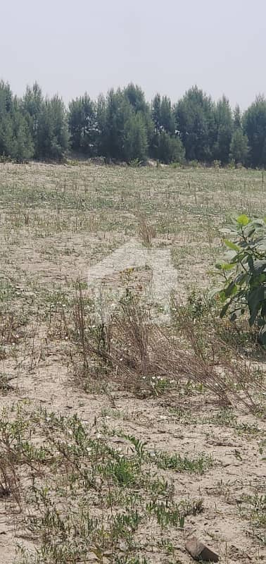 108 Kanal (13.5 Acres) Fully Developed Agricultural Land For Sale 108 Kanal (13.5 Acres) Fully Developed Agricultural Land For Sale