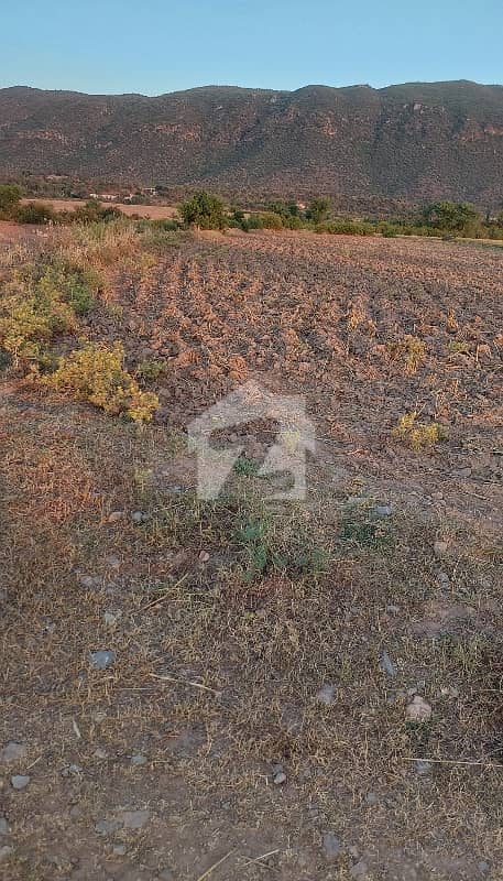 70 Kanal Agriculture Land Near New Airport Islamabad 70 Kanal Agriculture Land Near New Airport Islamabad