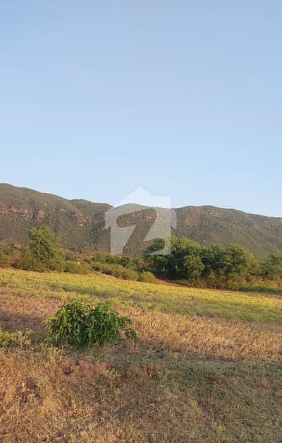 تھالیاں انٹرچینج راولپنڈی میں 74 کنال زرعی زمین 7.5 کروڑ میں برائے فروخت۔
