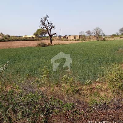 تھالیاں انٹرچینج راولپنڈی میں 74 کنال زرعی زمین 7.5 کروڑ میں برائے فروخت۔