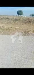 5 5