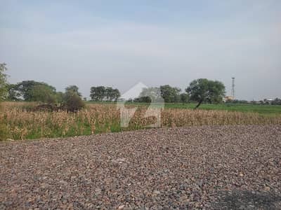 30 Acrs Agricultural Land For Sale Near Nankana Sahib