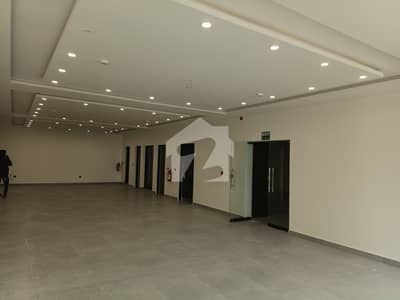 8Marla Basement Office For Rent