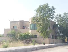 7 Marla In 1st Street From Main Boulevard In M Block