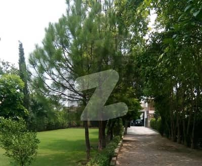 Prime Location 1888 SQ YD Old House
