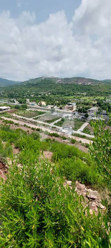 SUPERB PIECE OF LAND ON EXPRESSWAY OPPOSITE BAHRIA GOLF CITY SUPERB PIECE OF LAND ON EXPRESSWAY OPPOSITE BAHRIA GOLF CITY