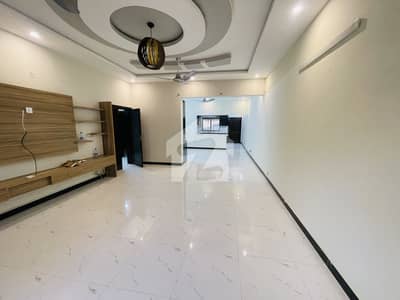 Luxury Renovated House