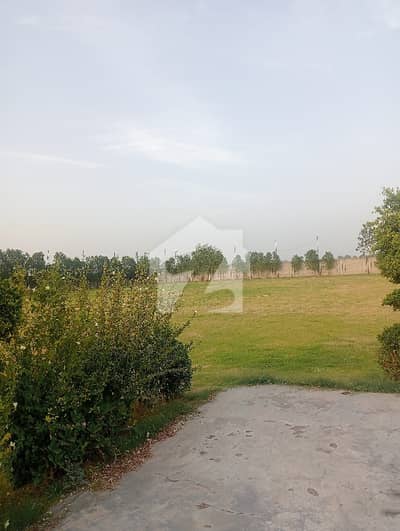 Farm House For Rent Swimming Pool Cricket Ground Daily Basis 6 Hours Rent 25000/-