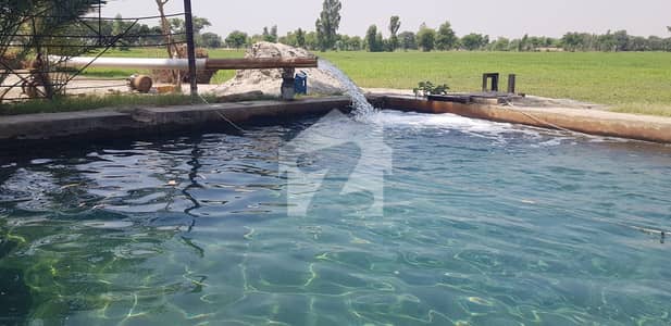 جام پور روڈ ڈیرہ غازی خان میں 1020 کنال زرعی زمین 70.18 کروڑ میں برائے فروخت۔