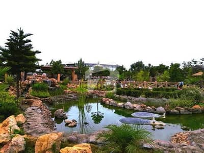 ایم پی سی ایچ ایس - بلاک جی ایم پی سی ایچ ایس ۔ ملٹی گارڈنز,بی ۔ 17,اسلام آباد میں 8 مرلہ رہائشی پلاٹ 60.0 لاکھ میں برائے فروخت۔
