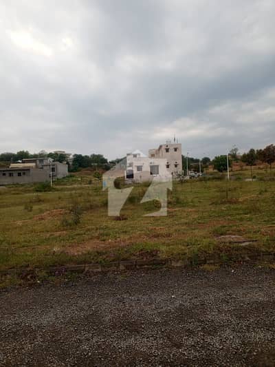 I Am Selling 10 Marla Residencial Plot In Gulberg Residencia Block T I Am Selling 10 Marla Residencial Plot In Gulberg Residencia Block T