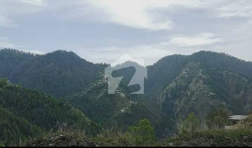 4 Kanal Land For Sale