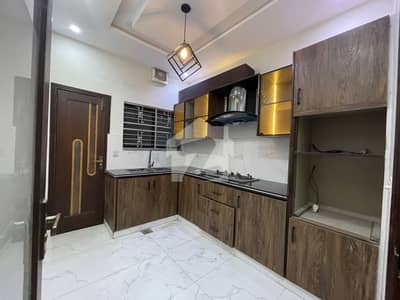 10 Marla House For Sale in Valancia Town Lahore