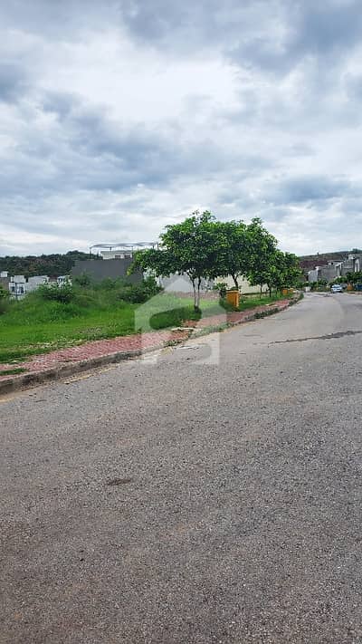 8 Marla Down Payment Plot And Lamp Sam Amount For Sale