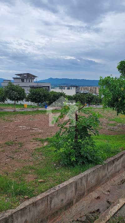10 Marla Outstanding Location Plot For Sale In Sector J 10 Marla Outstanding Location Plot For Sale In Sector J