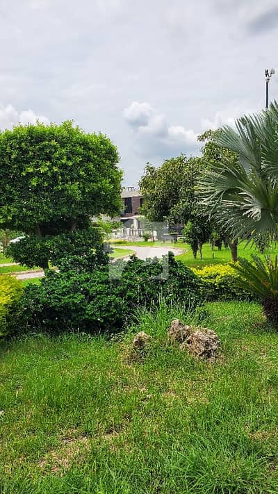 5 Marla Solid Land Possession Able Plot For Sale In Sector N
